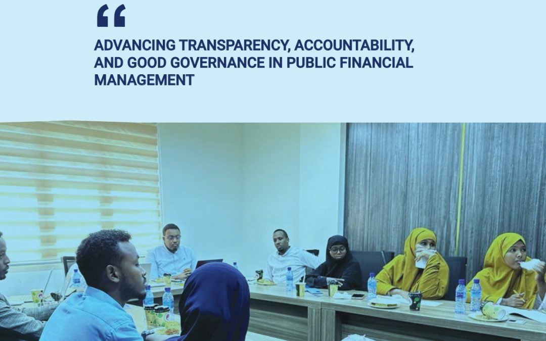 Advancing Transparency, Accountability, and Good Governance: IPFS Annual Report 2024